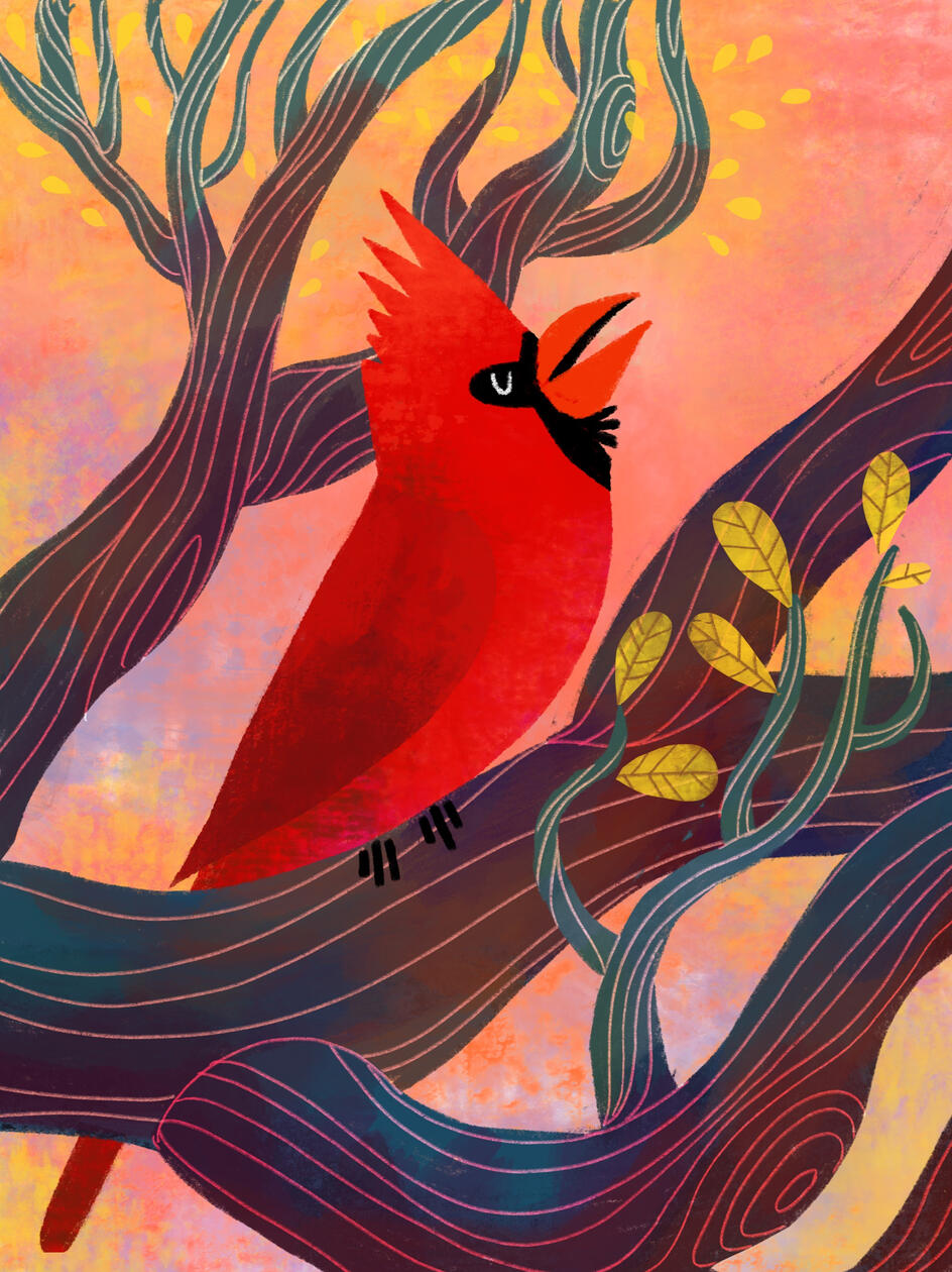 a colorful digital painting of a Northern Cardinal singing