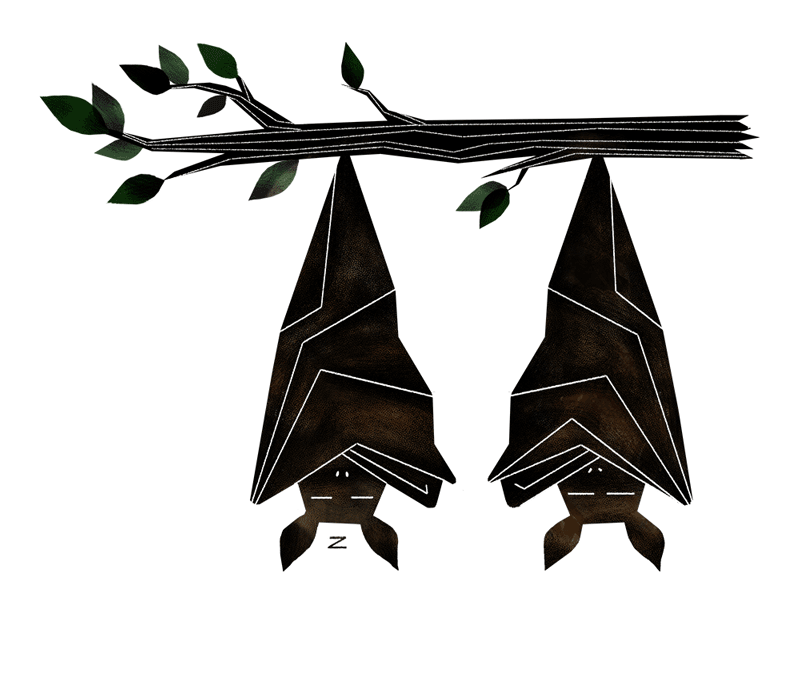 an animated gift of two bats sleeping upside down on a tree branch. One is snoring, an animation of its folded wings contracting and expanding shows the exaggerated breathing, the other wakes and gives the snorer a one-eyed glare